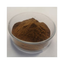 Factory Supply Private Label Organic Polysaccharides Chaga Mushroom Extract Powder